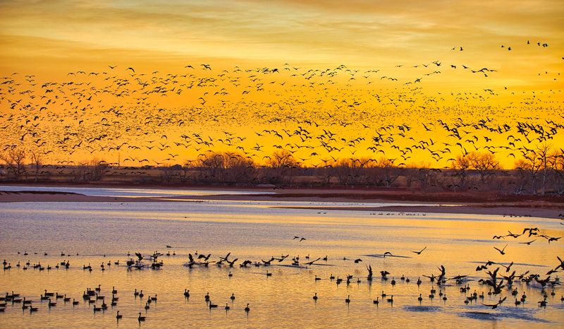 Why Nesting Season Changes Everything Why Nesting Season Changes Everything