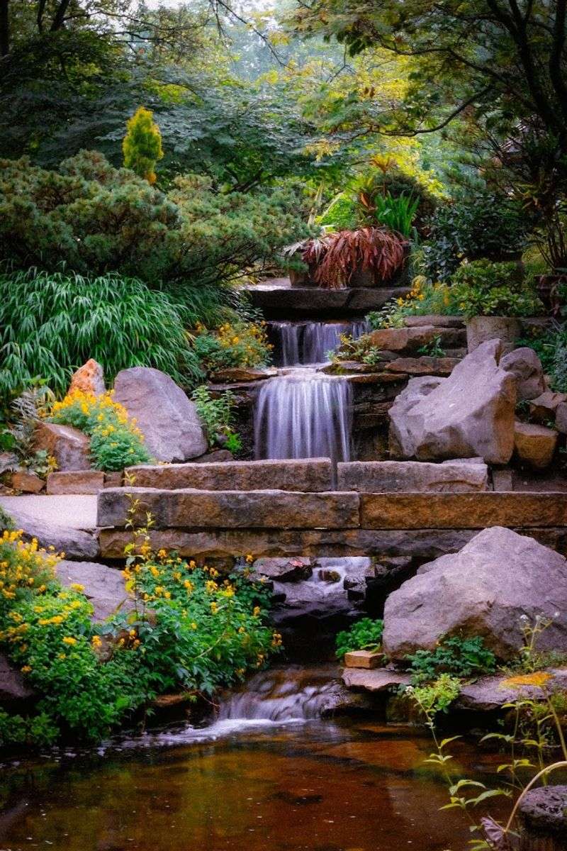 A Favorite Place For Photos, Dates, And Special Moments A Favorite Place For Photos, Dates, And Special Moments