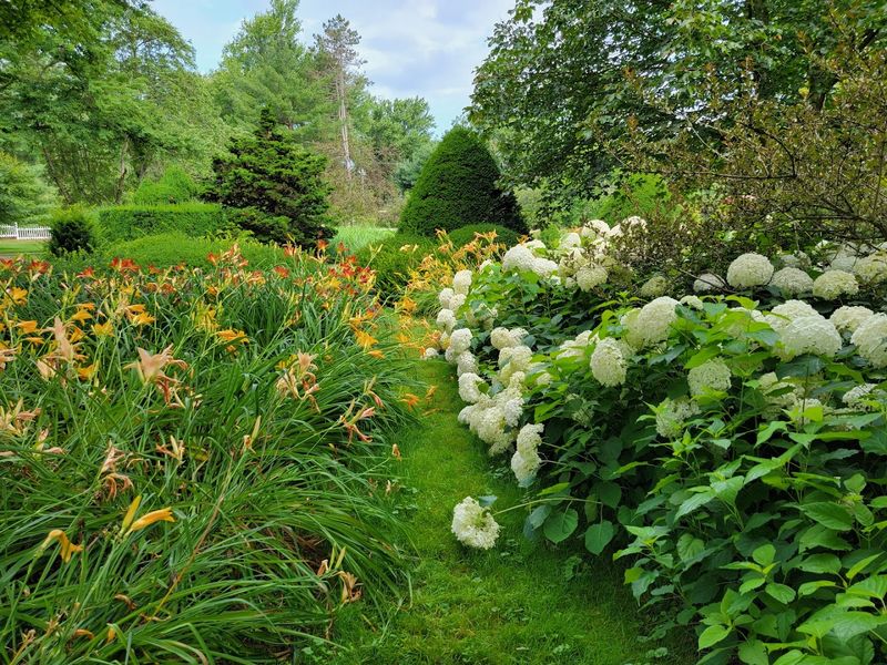 A First Look At This Hidden Ohio Garden