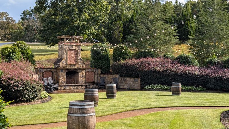 A First Look at Yonah Mountain Vineyards