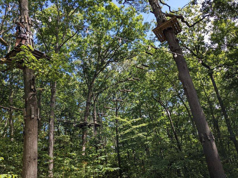 A Forest Escape You Would Never Expect on Long Island A Forest Escape You Would Never Expect on Long Island