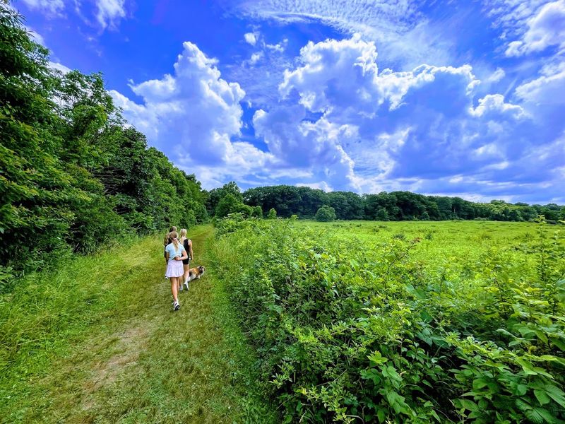 A Great Pick for Dog Walks and Everyday Resets A Great Pick for Dog Walks and Everyday Resets