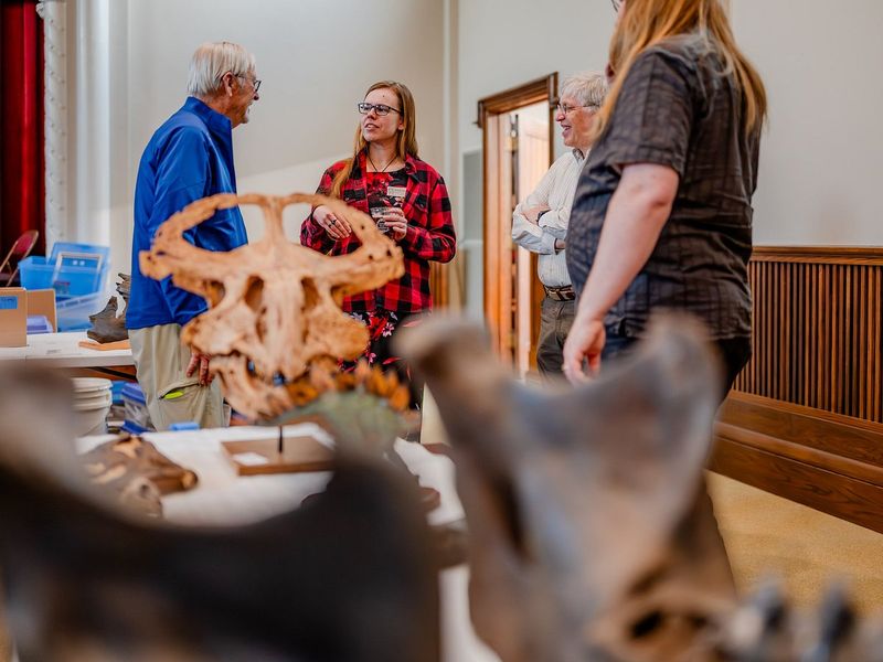 A Hidden Gem in Appleton’s Cultural Scene