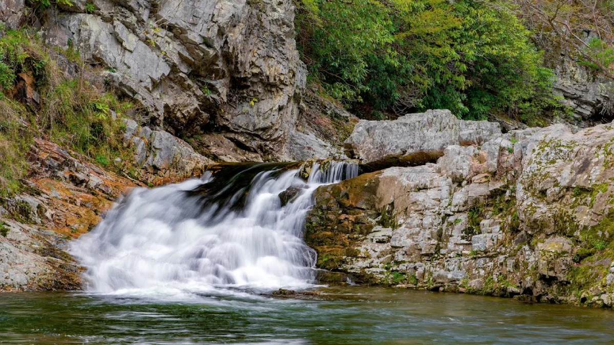A Hidden Tennessee Gem With Mountain Streams And Forest Trails Is Calling Your Name