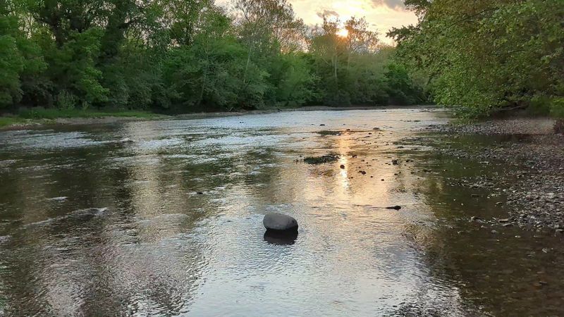 A Peaceful Mix of Woods, Meadows, and River Sounds A Peaceful Mix of Woods, Meadows, and River Sounds