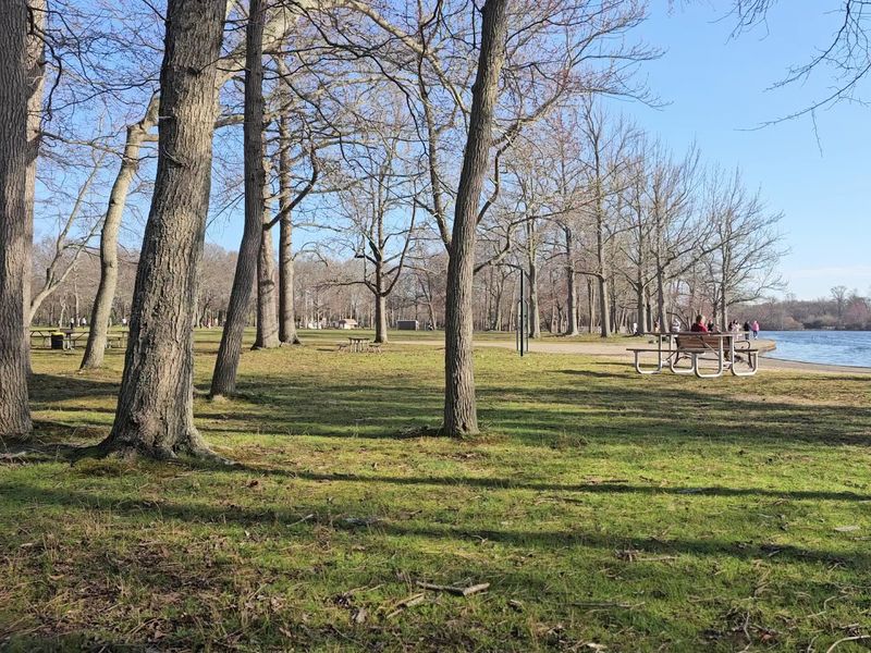 A Picnic Spot That Actually Feels Relaxing A Picnic Spot That Actually Feels Relaxing