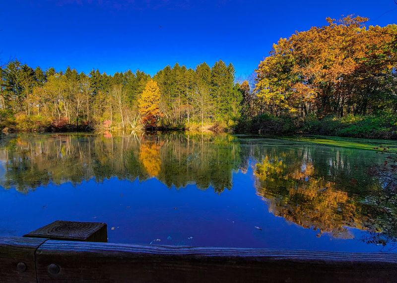 A Place That Feels Different In Every Season A Place That Feels Different In Every Season