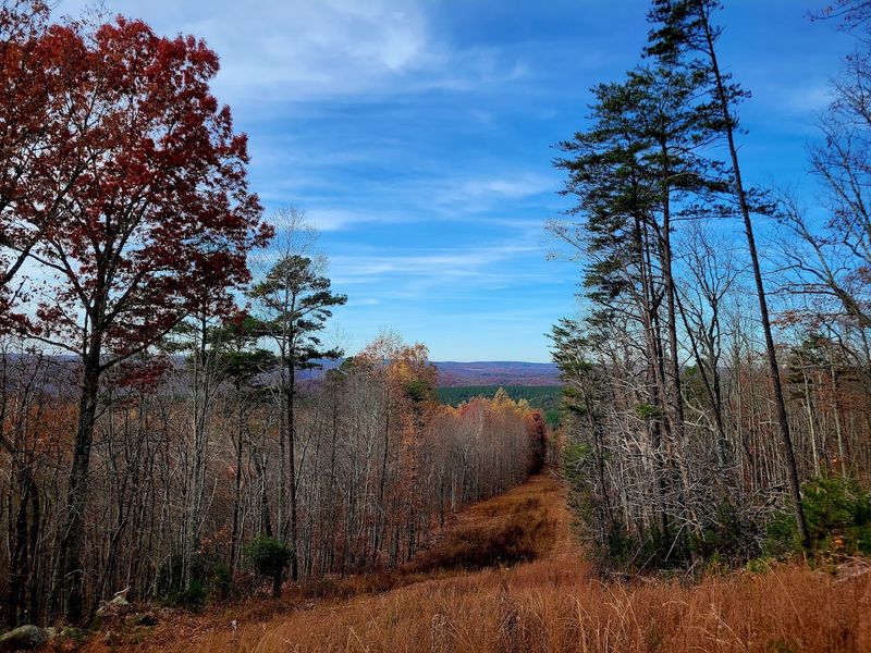 A Quiet Tennessee Getaway Tucked Away From the Crowds