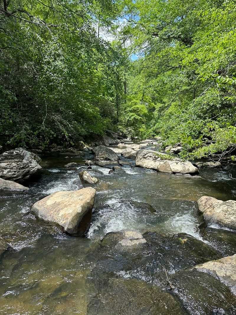 A Quiet Tennessee Trail Hidden Near Tellico Plains