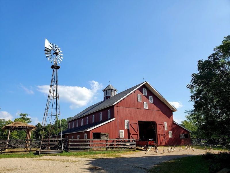 A Real Working Farm That Slows You Down