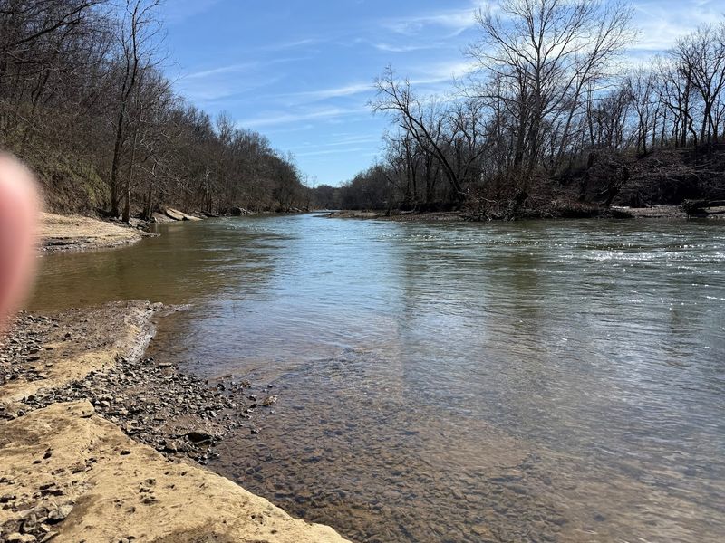 A River Packed With Wildlife and Natural Richness A River Packed With Wildlife and Natural Richness