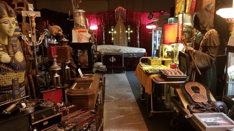 A Room Full of Things You Never Expected to See