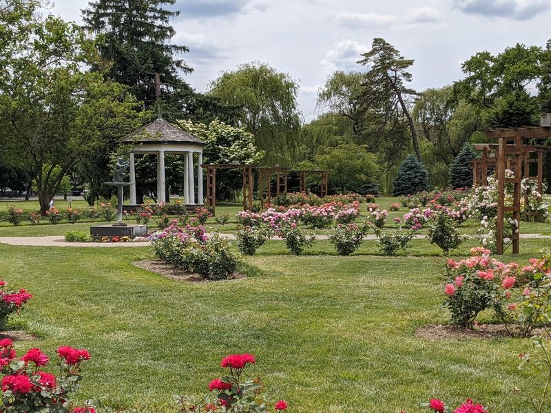 A Rose Garden That Feels Like A Hidden Discovery