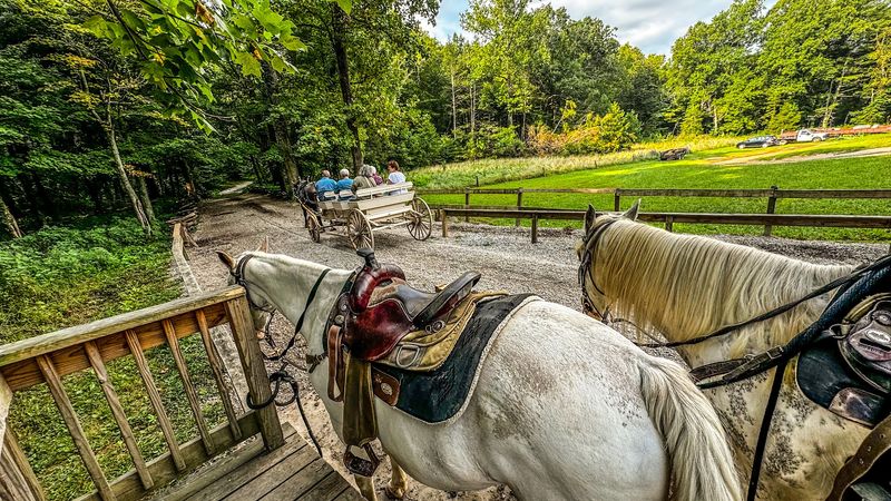 A Smoky Mountain Experience That Belongs on Every Tennessee Bucket List A Smoky Mountain Experience That Belongs on Every Tennessee Bucket List