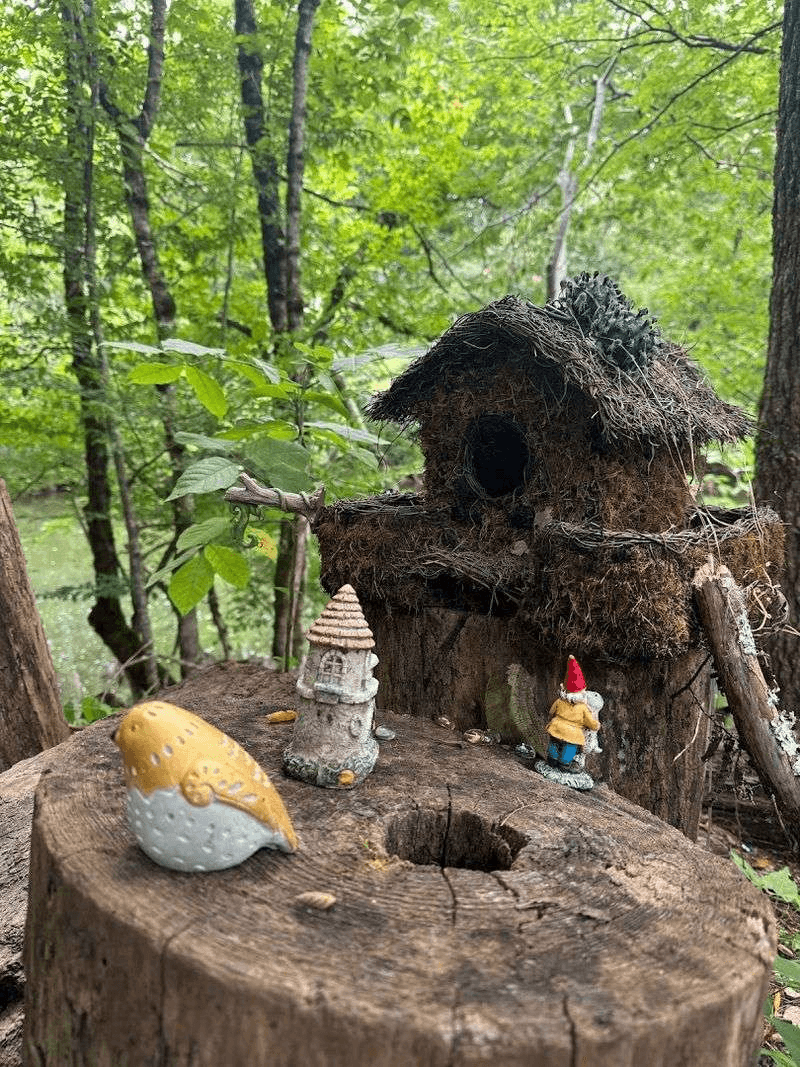 A Storybook Stroll Hiding in the Smokies