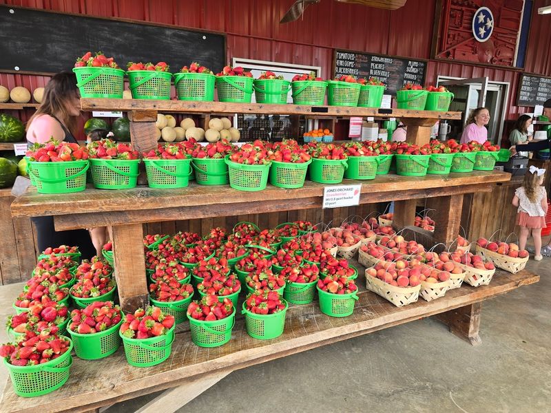 A Sweet Summer Tradition In Millington
