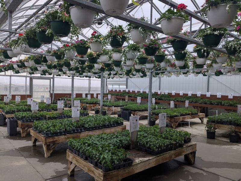 A Vegetable Plant Selection Serious Gardeners Actually Respect A Vegetable Plant Selection Serious Gardeners Actually Respect