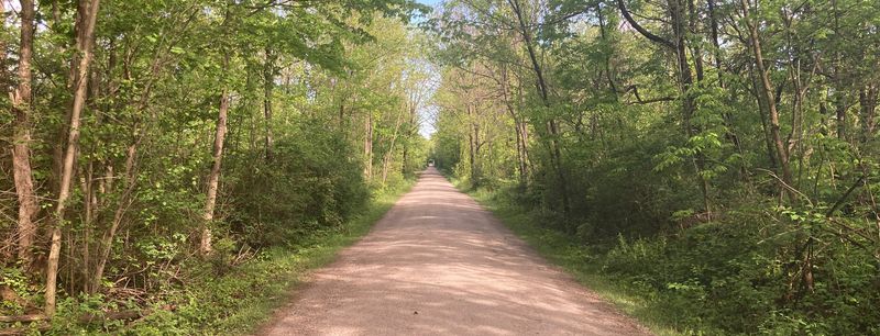 A Welcoming First Look at Lester Rail Trail A Welcoming First Look at Lester Rail Trail