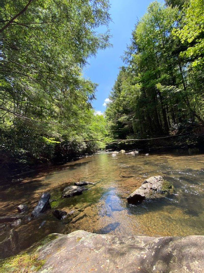 A Wild Area That Feels Truly Remote A Wild Area That Feels Truly Remote