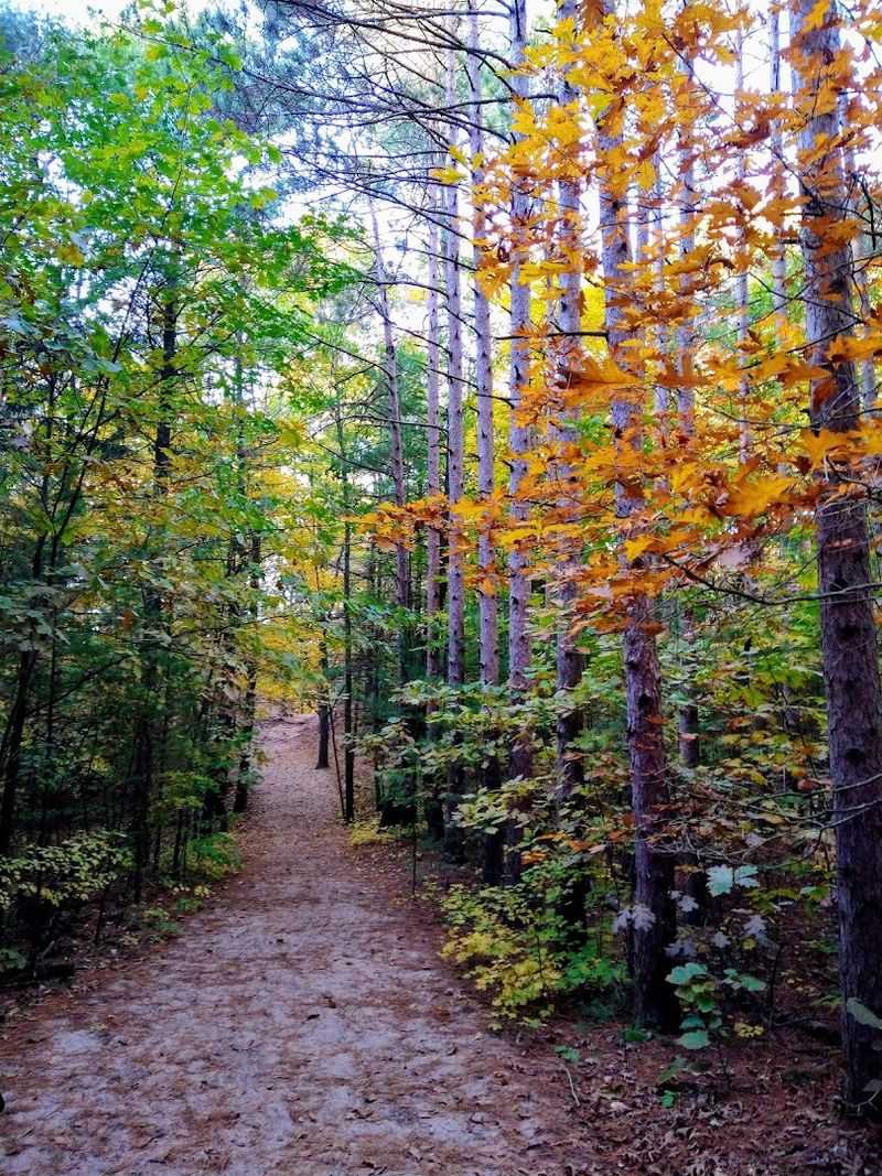 A Year-Round Town That Refuses to Go Quiet A Year-Round Town That Refuses to Go Quiet