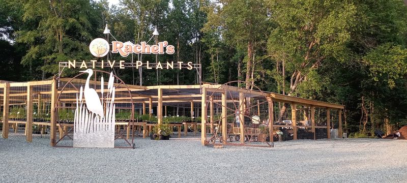 A destination built around native plants A destination built around native plants
