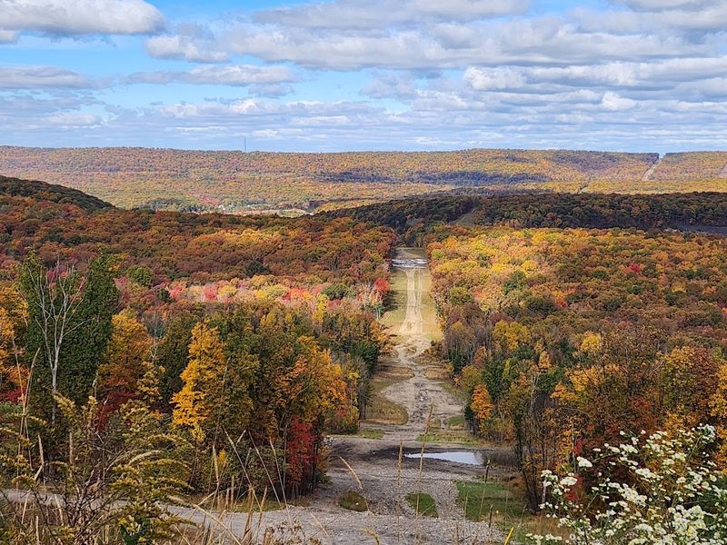 A massive trail system with room to roam A massive trail system with room to roam
