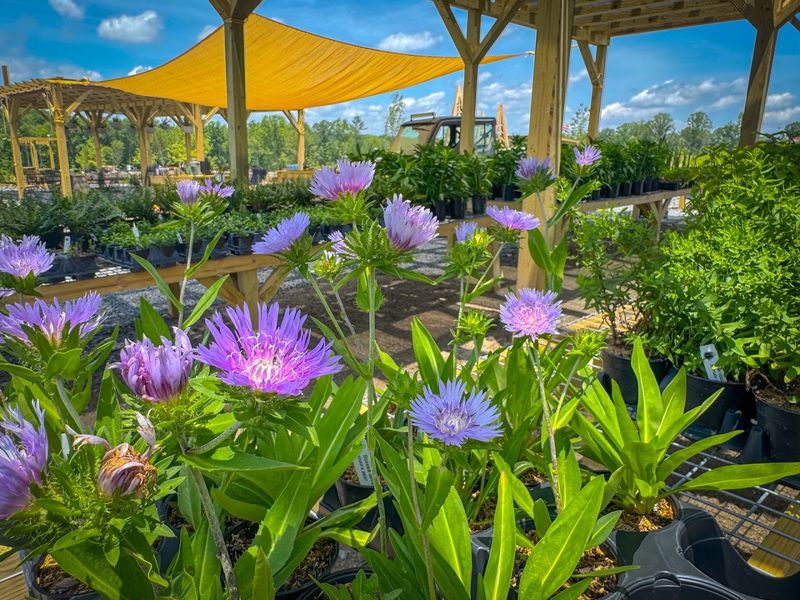 A nursery that feels like a destination A nursery that feels like a destination