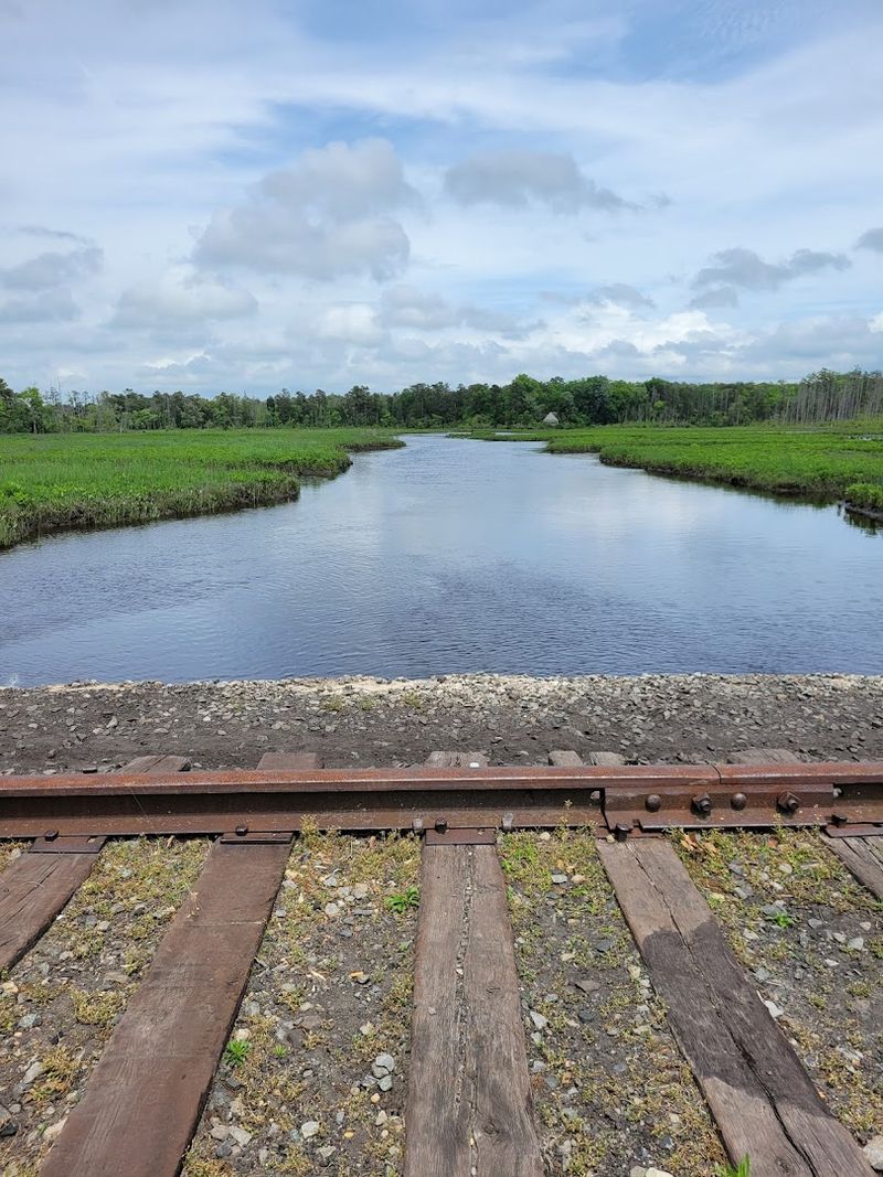 A pristine river that keeps this fragile ecosystem alive A pristine river that keeps this fragile ecosystem alive