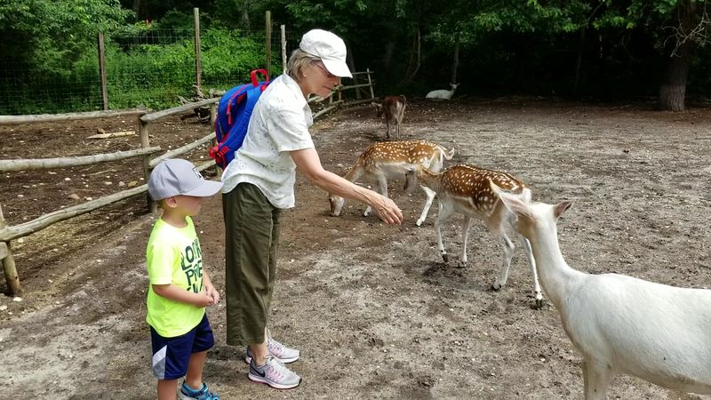 A smaller zoo with a more personal feel A smaller zoo with a more personal feel