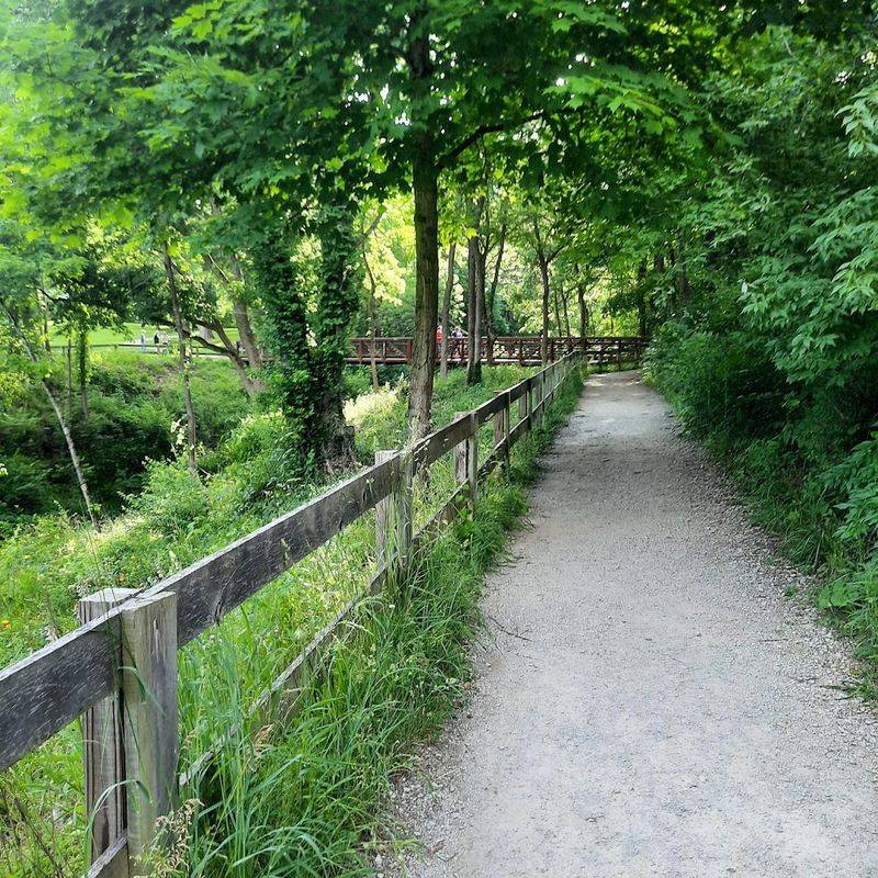 A trail system that feels varied from the first step A trail system that feels varied from the first step