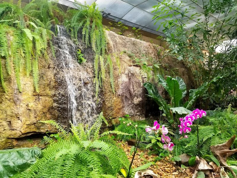 A tropical escape in the middle of Branson A tropical escape in the middle of Branson