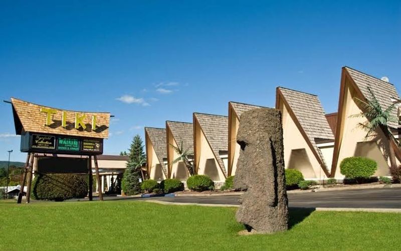 A tropical first impression in the middle of Lake George