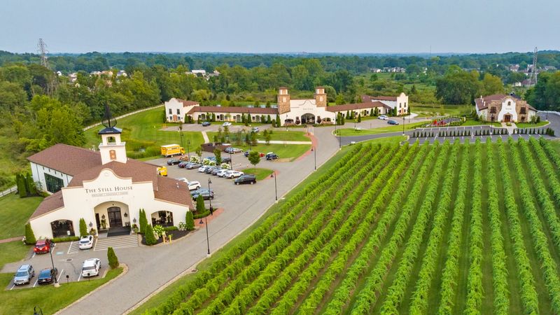 A vineyard setting that instantly shifts your mindset