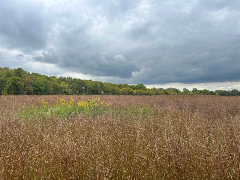 Midewin National Tallgrass Prairie (Wilmington)