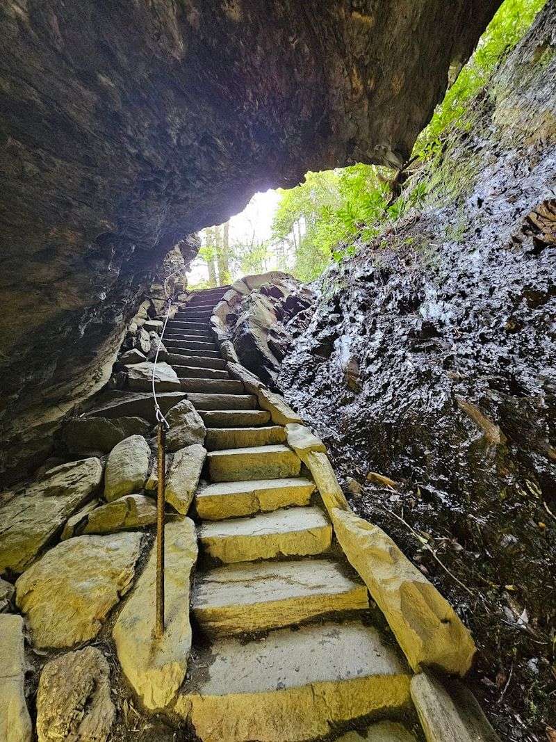 The Climb Gets Serious, But Not Miserable The Climb Gets Serious, But Not Miserable