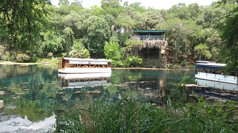 Abundant Wildlife Viewing Opportunities Abundant Wildlife Viewing Opportunities