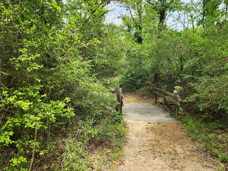 Abundant Wildlife Viewing Opportunities Abundant Wildlife Viewing Opportunities