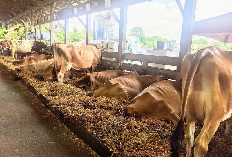 Agriculture Still Sits At The Heart Agriculture Still Sits At The Heart