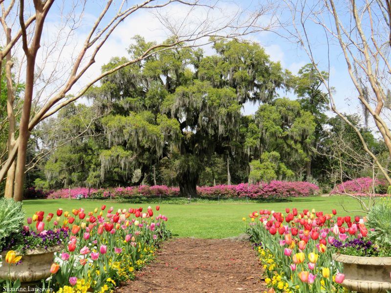 Airlie Gardens Airlie Gardens