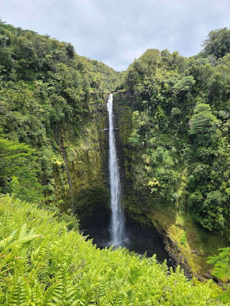 Akaka Falls State Park Akaka Falls State Park