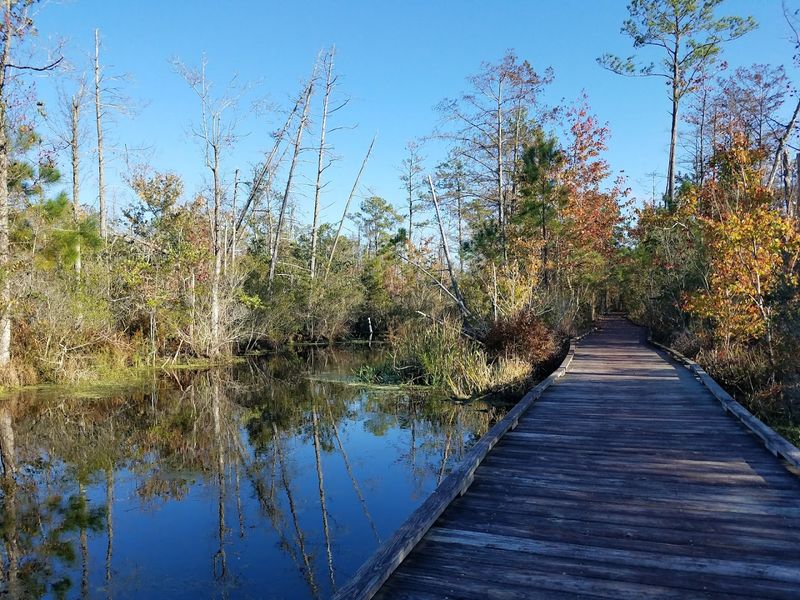 Alligator River Route