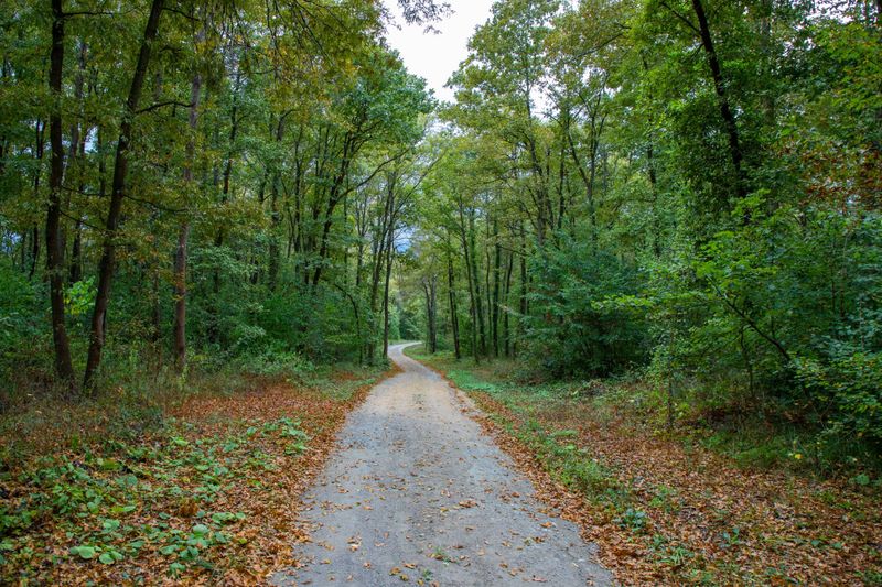 Alum Creek State Park