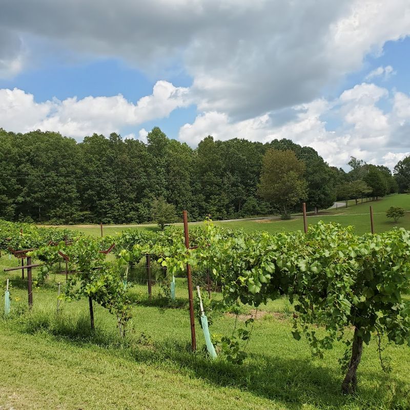 Amber Falls Winery & Cellars — Hampshire Amber Falls Winery & Cellars — Hampshire