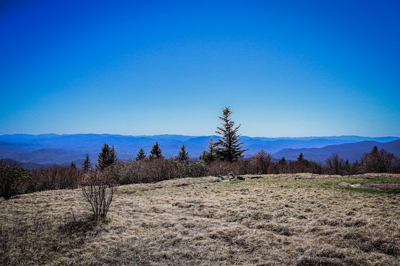 Andrews Bald — Great Smoky Mountains National Park