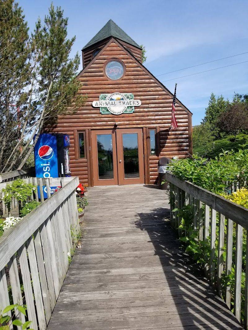 Animal Tracks Adventure Golf (Mackinaw City) Animal Tracks Adventure Golf (Mackinaw City)