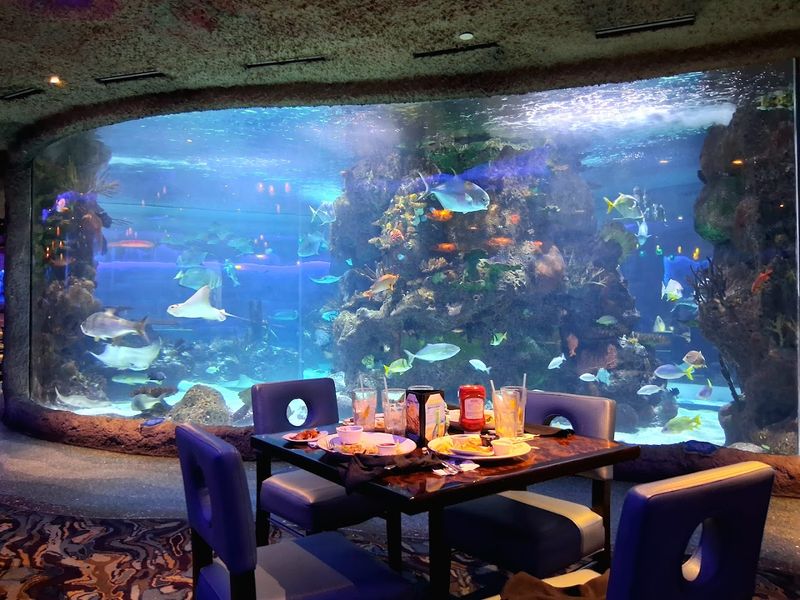 Aquarium Restaurant — Nashville