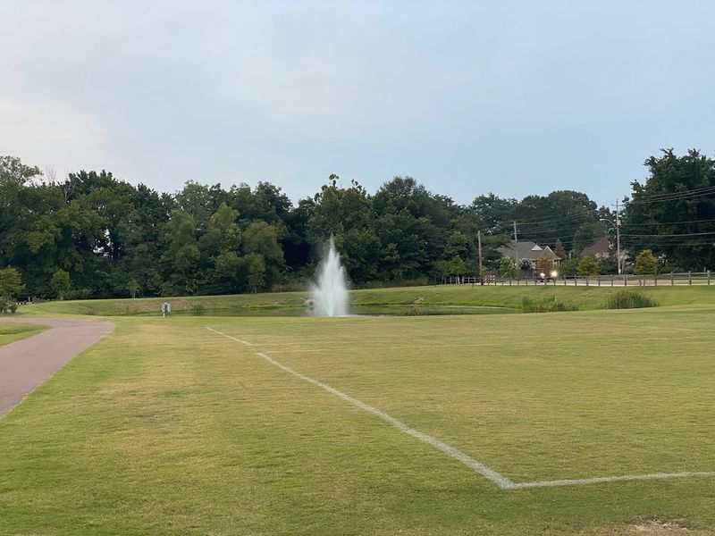Arlington Feels Like A Peaceful Escape Just Minutes From Memphis Arlington Feels Like A Peaceful Escape Just Minutes From Memphis