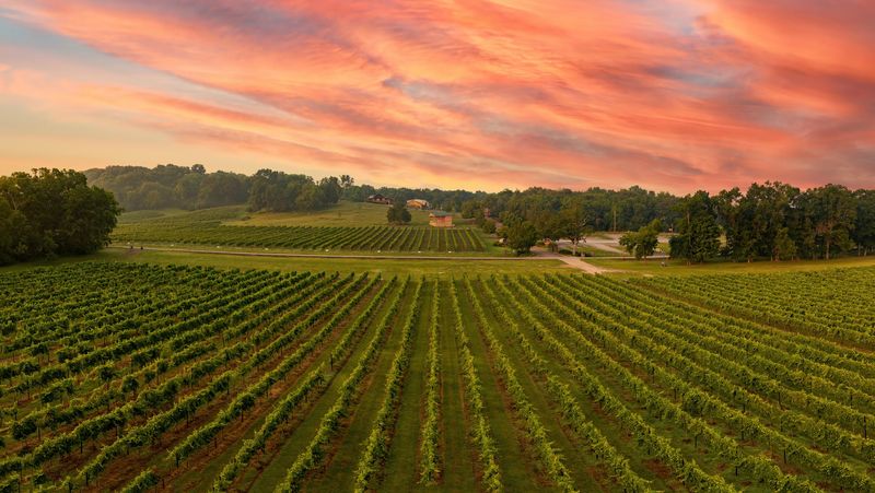 Arrington Vineyards — Arrington Arrington Vineyards — Arrington