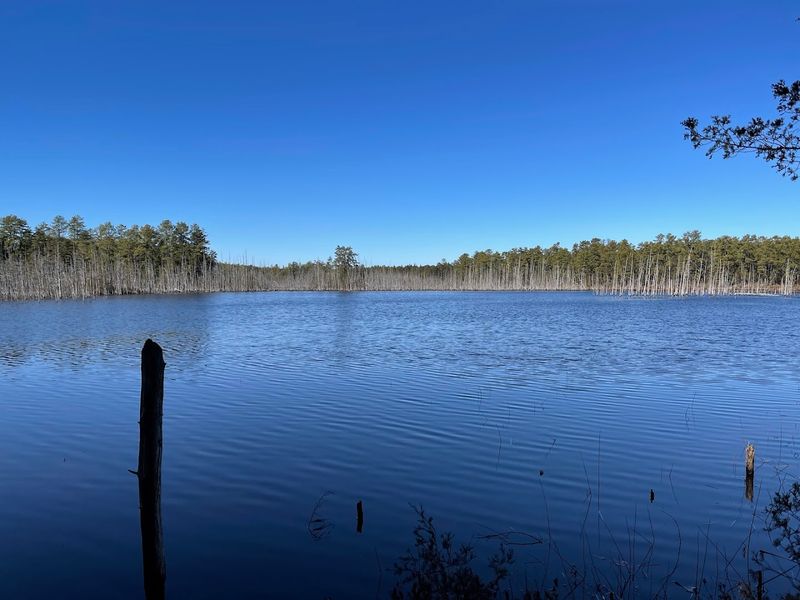 Atsion Recreation Area, Wharton State Forest, Shamong Atsion Recreation Area, Wharton State Forest, Shamong