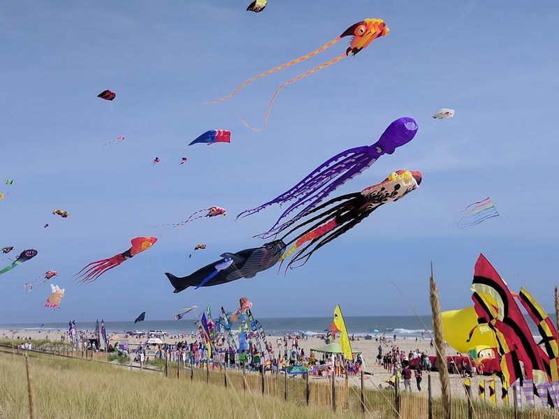Attend the Wildwoods International Kite Festival